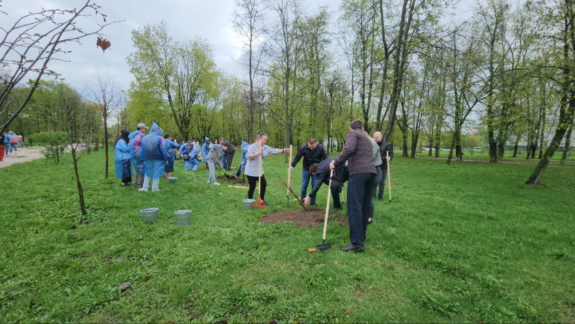 люберцы, парки, благоустройство,