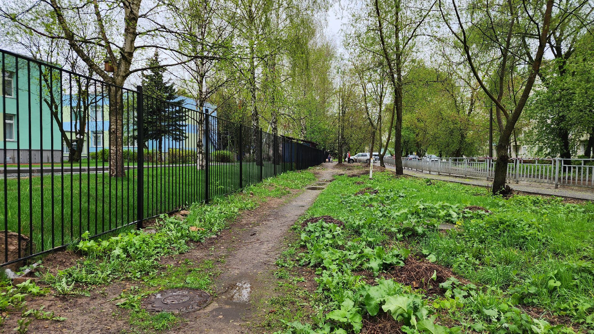 народные тропы, благоустройство, Лосино-Петровский,