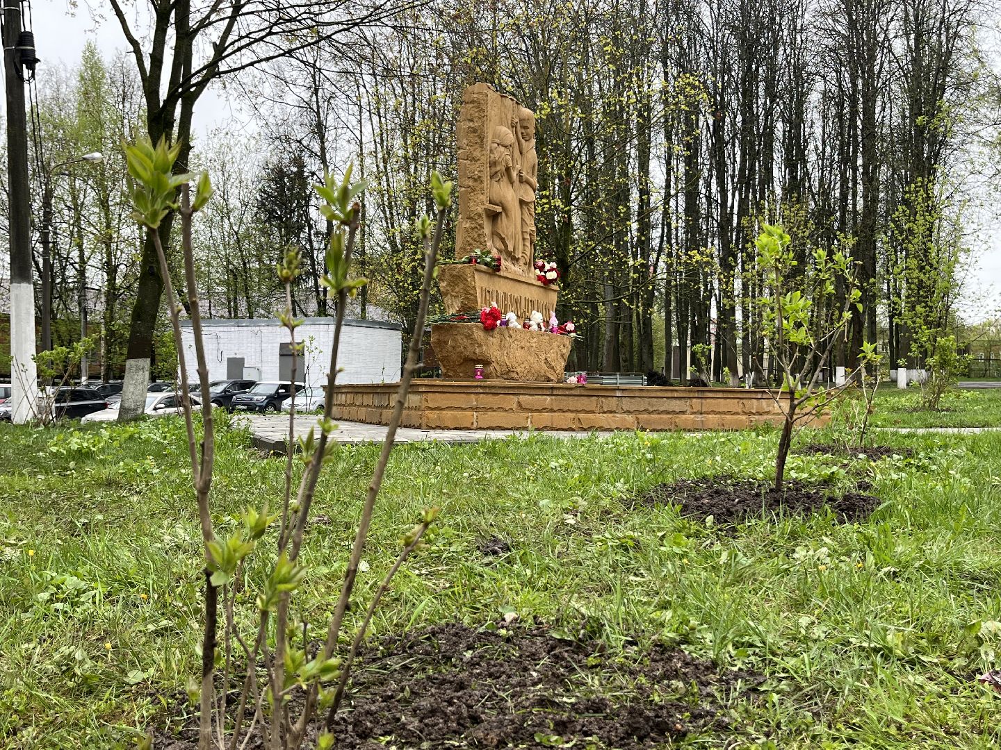 наро-фоминск, день добрых дел, роман шамнэ, наро-фоминский городской округ, дети Донбасса, Сирень, аллея памяти,