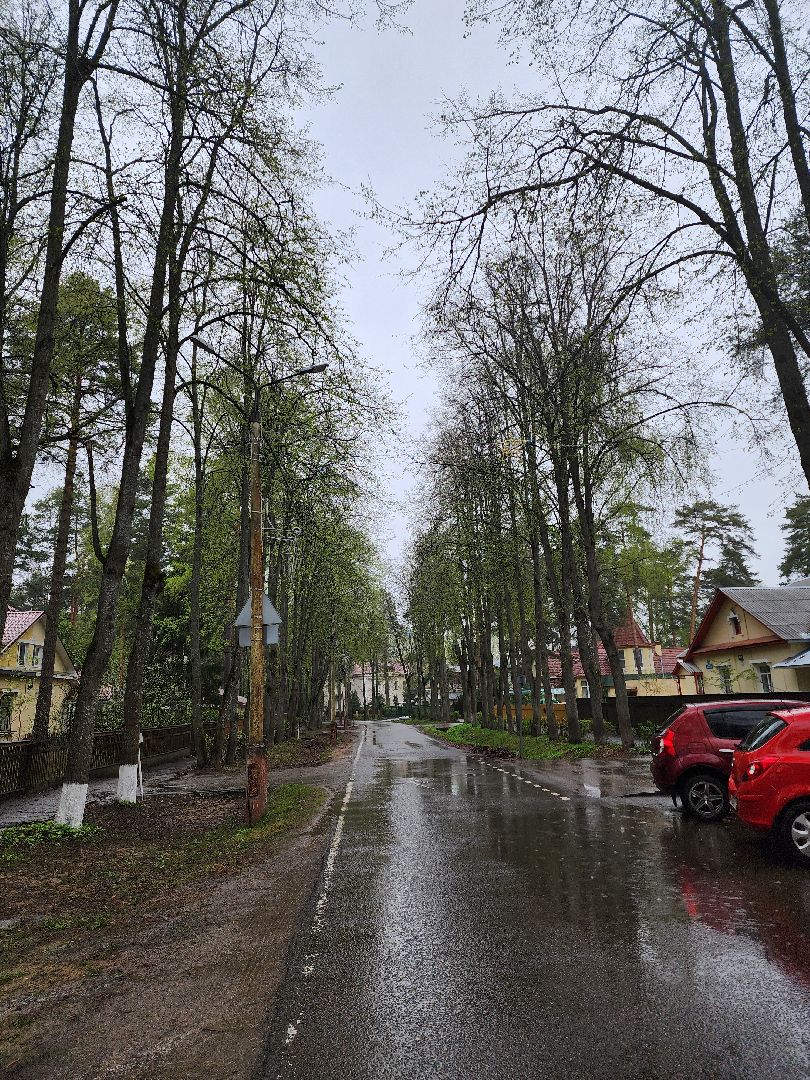 Дубна, Субботник, Уборка, Благоустройство,