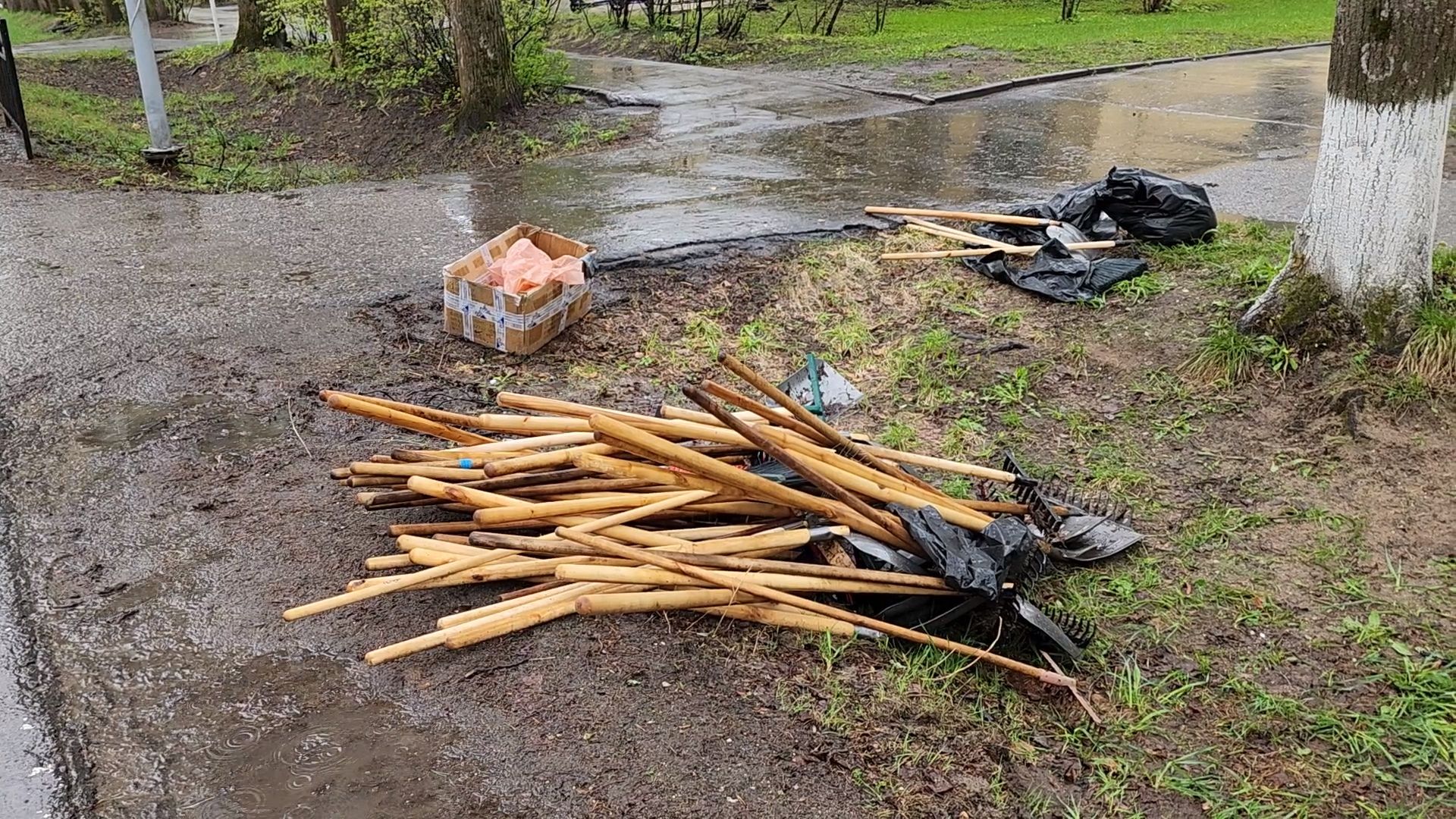 Дубна, Субботник, Уборка, Благоустройство,