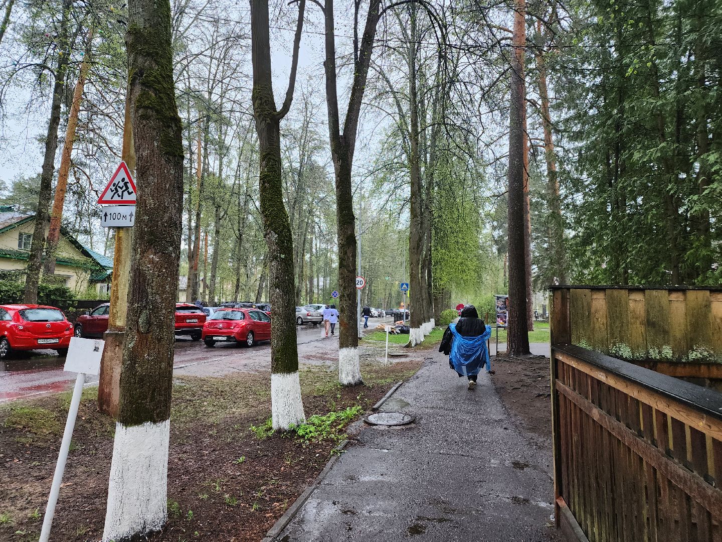 Дубна, Субботник, Уборка, Благоустройство,