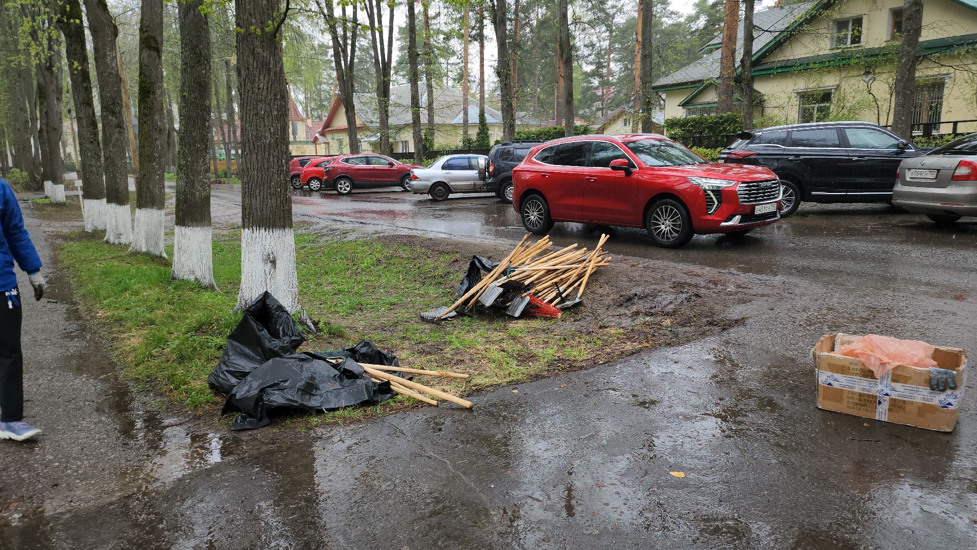 Дубна, Субботник, Уборка, Благоустройство,