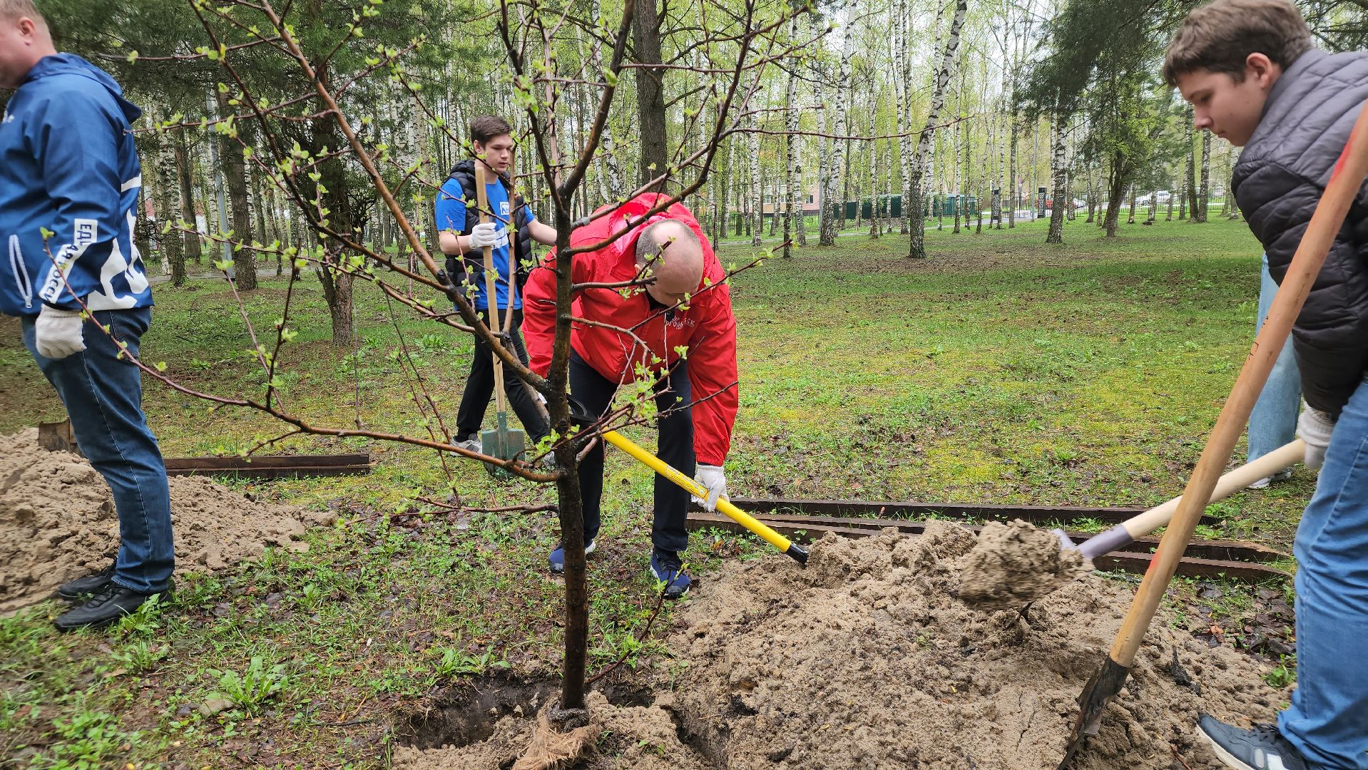 субботник, егорьевск, парк, парк 200 лет егорьевску, деревья, чебурашка, гена, шапокляк, чай, пирожки,