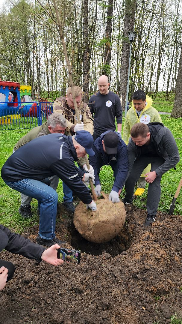Городок, Парк, посадка кленов, аллея кленов, Благоустройство, субботник, день добрых дел, руза,
