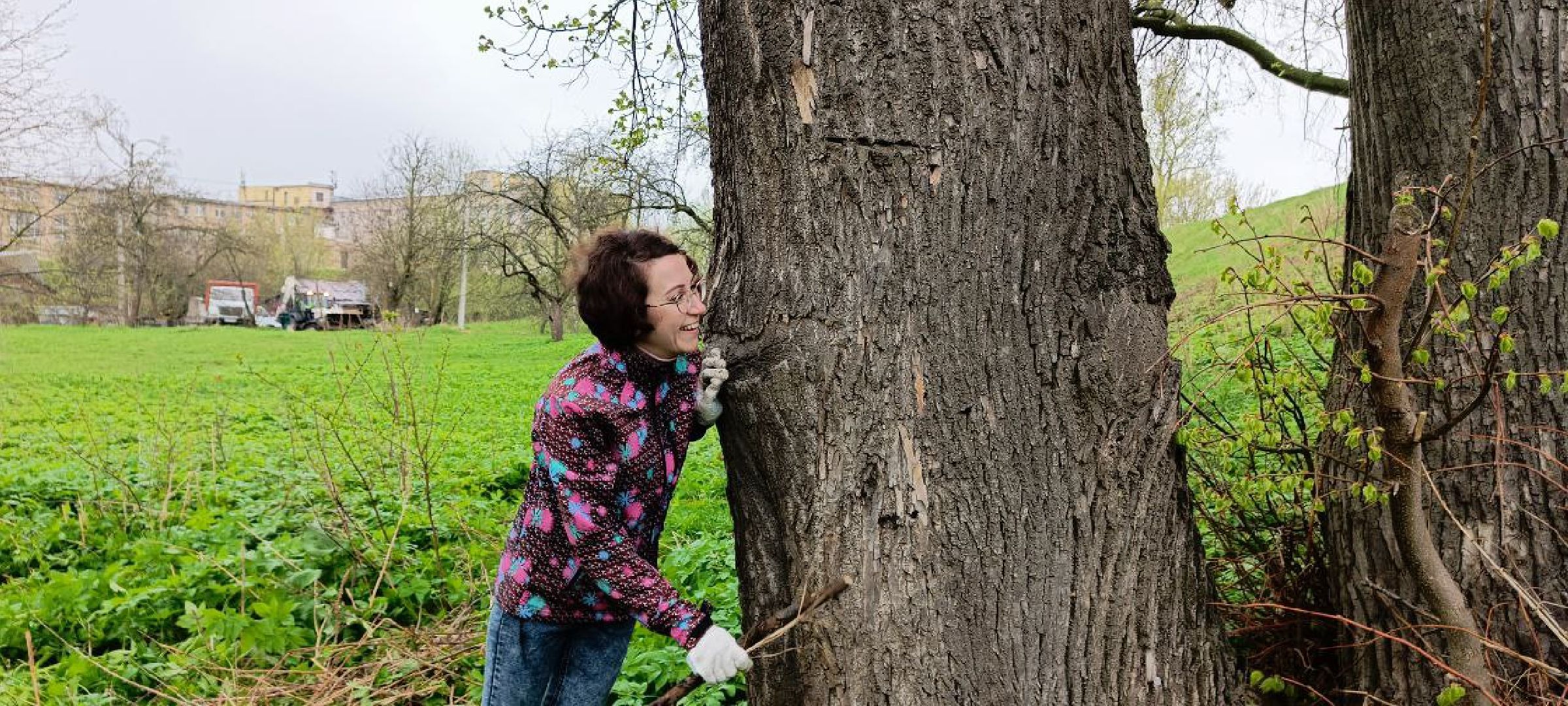 Дмитров, Дмитровский кремль, Институт археологии РАН,