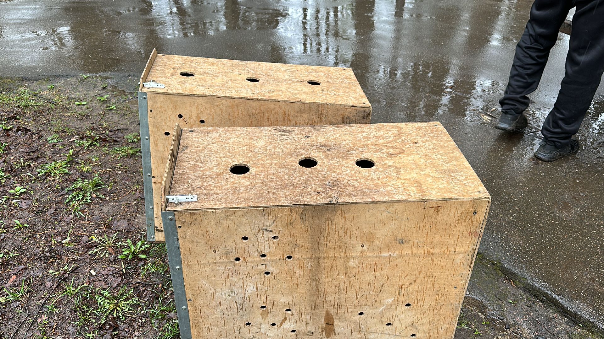 Клин, общество, лебеди, люди, весна, отдых на природе,