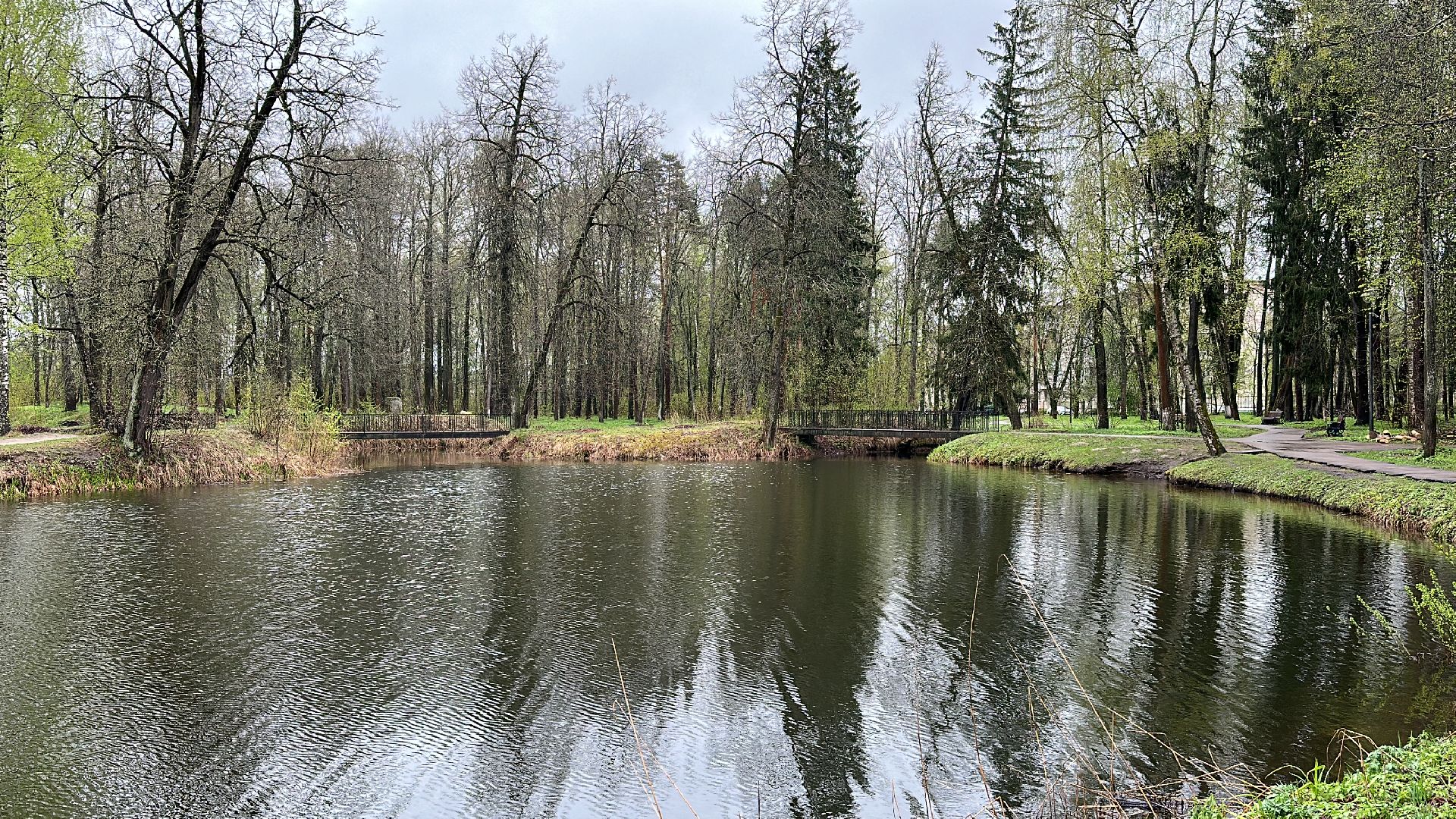 Клин, общество, лебеди, люди, весна, отдых на природе,