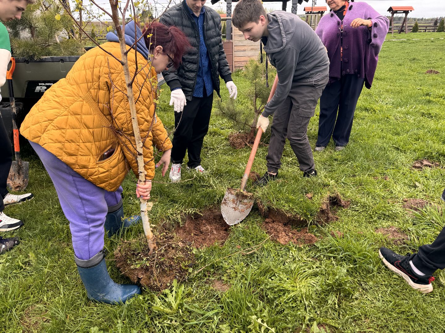 шаховская, день добрых дел, сыроварня, высадка деревьев,