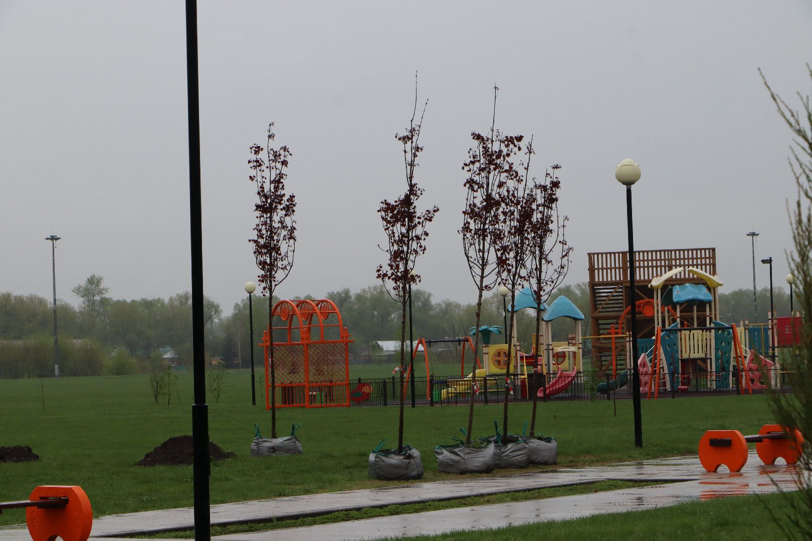 День добрых дел, Серебряные Пруды, Парк Серебряный, высадка деревьев,