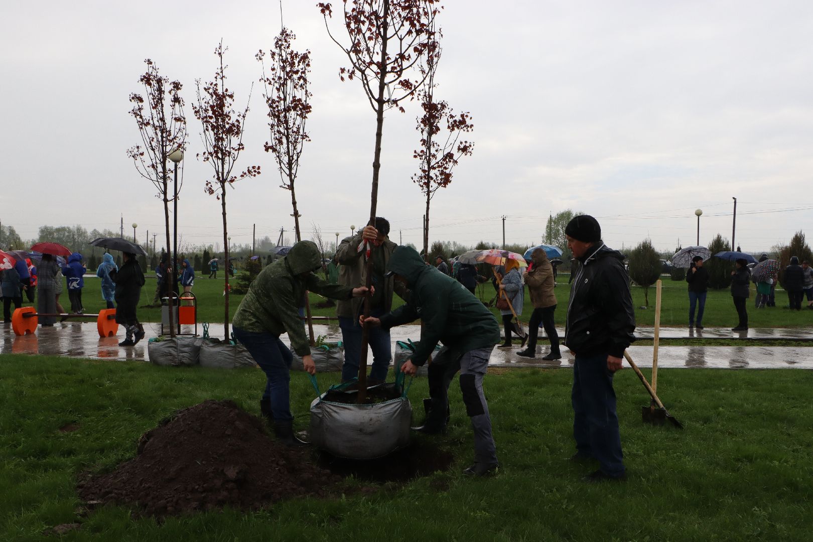 День добрых дел, Серебряные Пруды, Парк Серебряный, высадка деревьев,