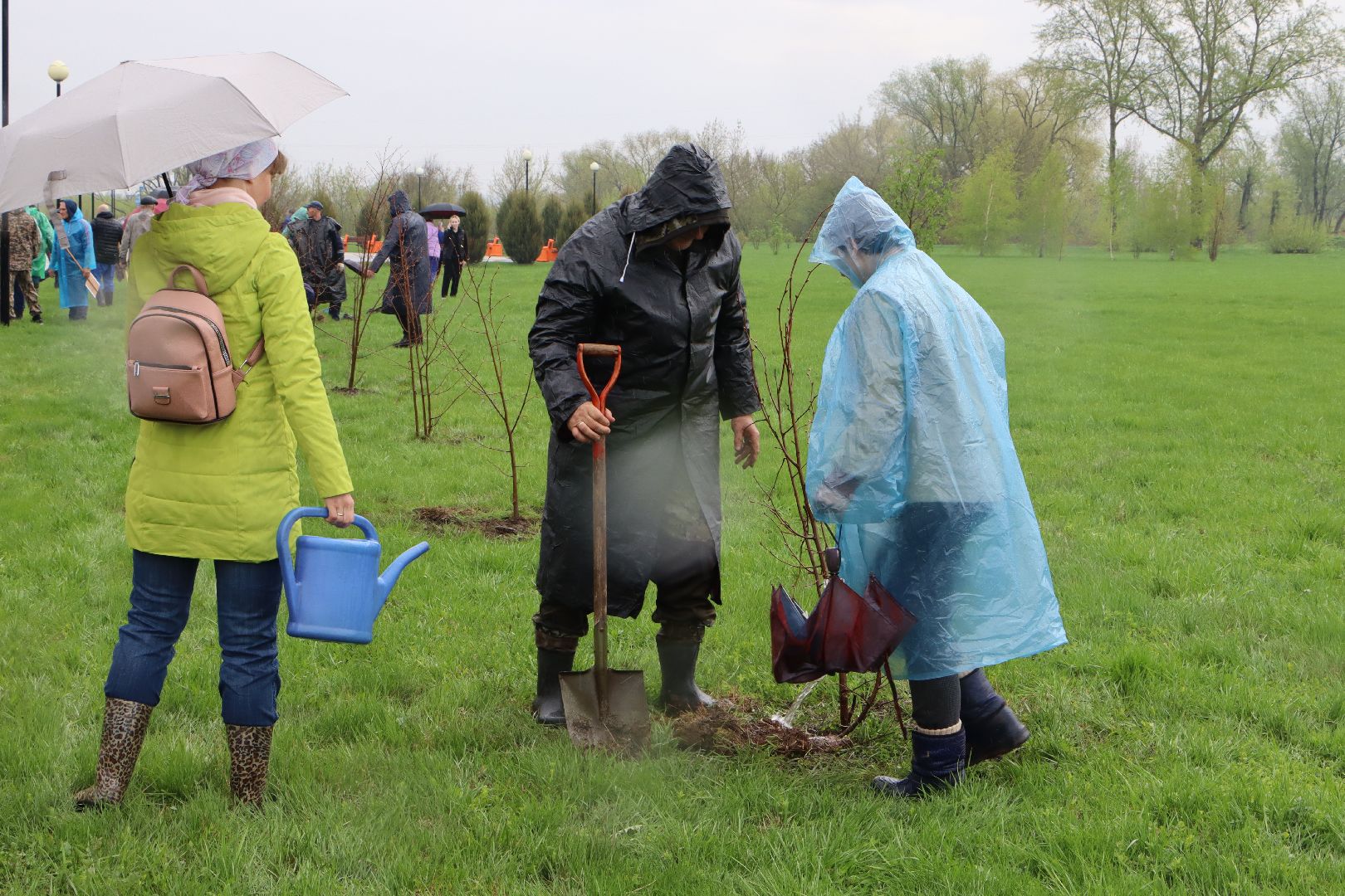 День добрых дел, Серебряные Пруды, Парк Серебряный, высадка деревьев,
