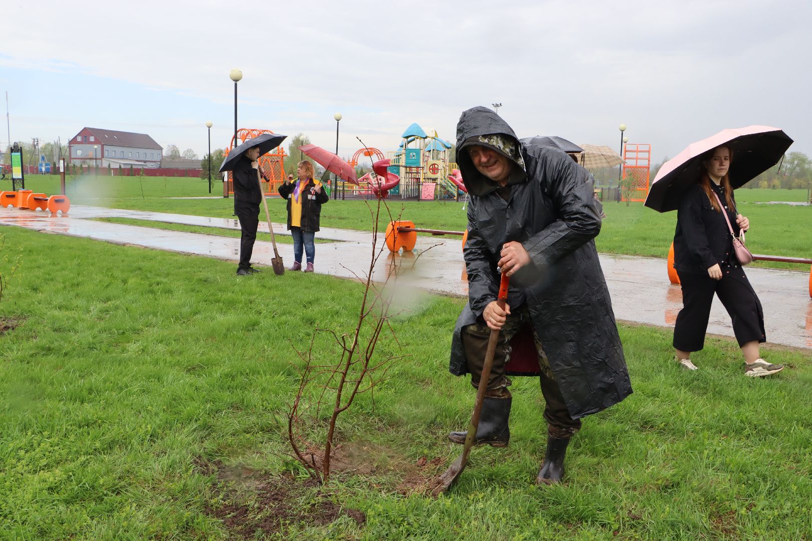 День добрых дел, Серебряные Пруды, Парк Серебряный, высадка деревьев,