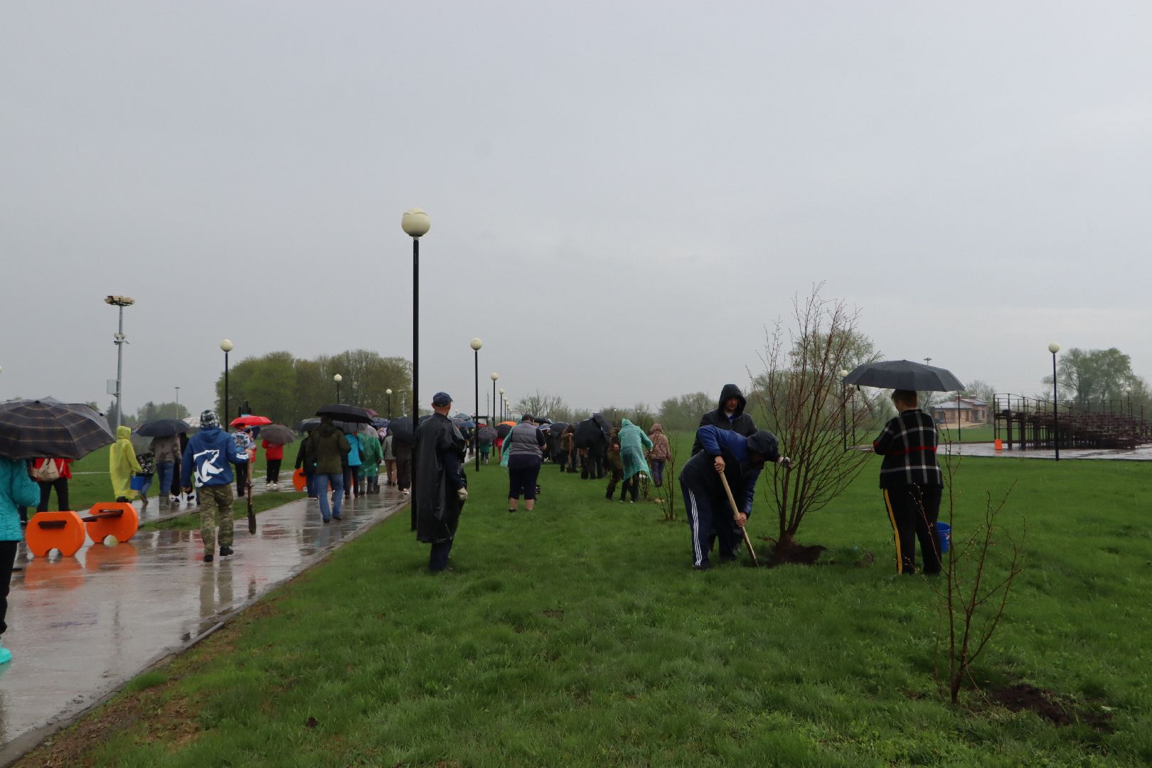 День добрых дел, Серебряные Пруды, Парк Серебряный, высадка деревьев,