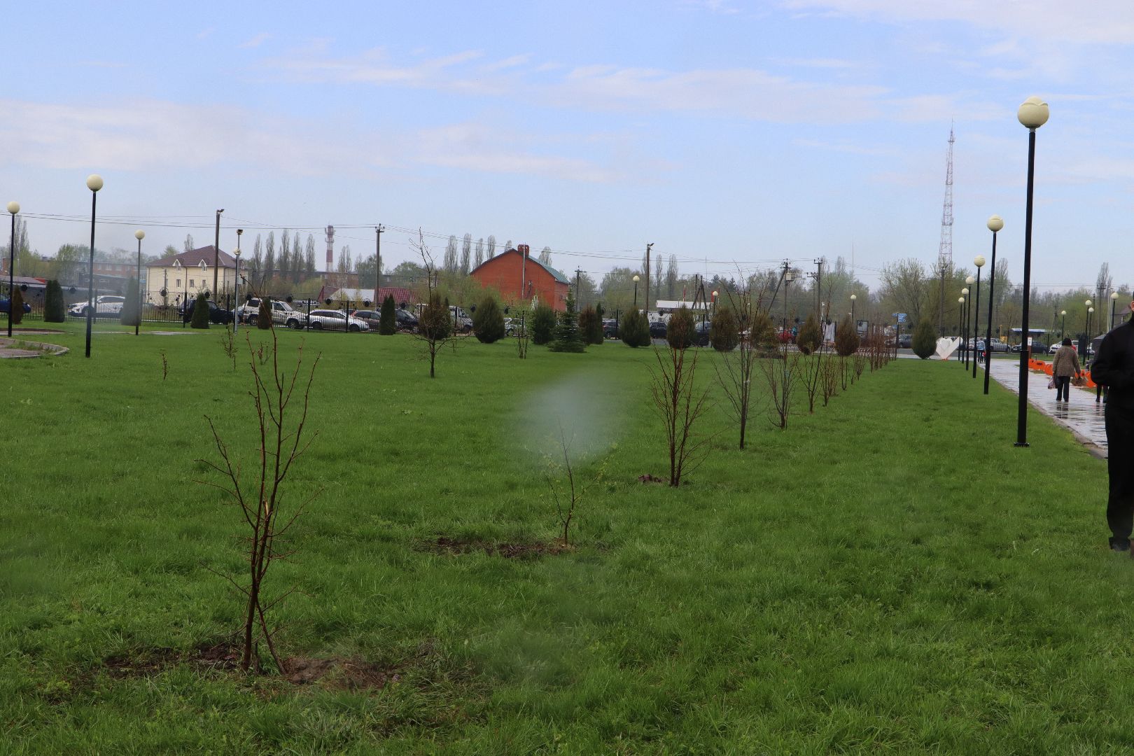 День добрых дел, Серебряные Пруды, Парк Серебряный, высадка деревьев,