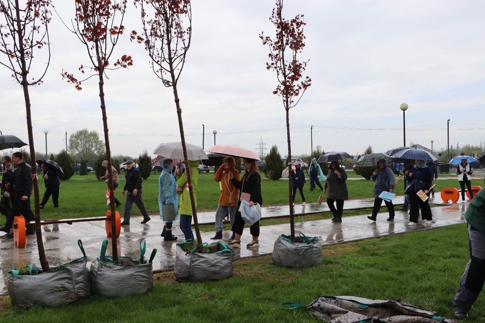 День добрых дел, Серебряные Пруды, Парк Серебряный, высадка деревьев,