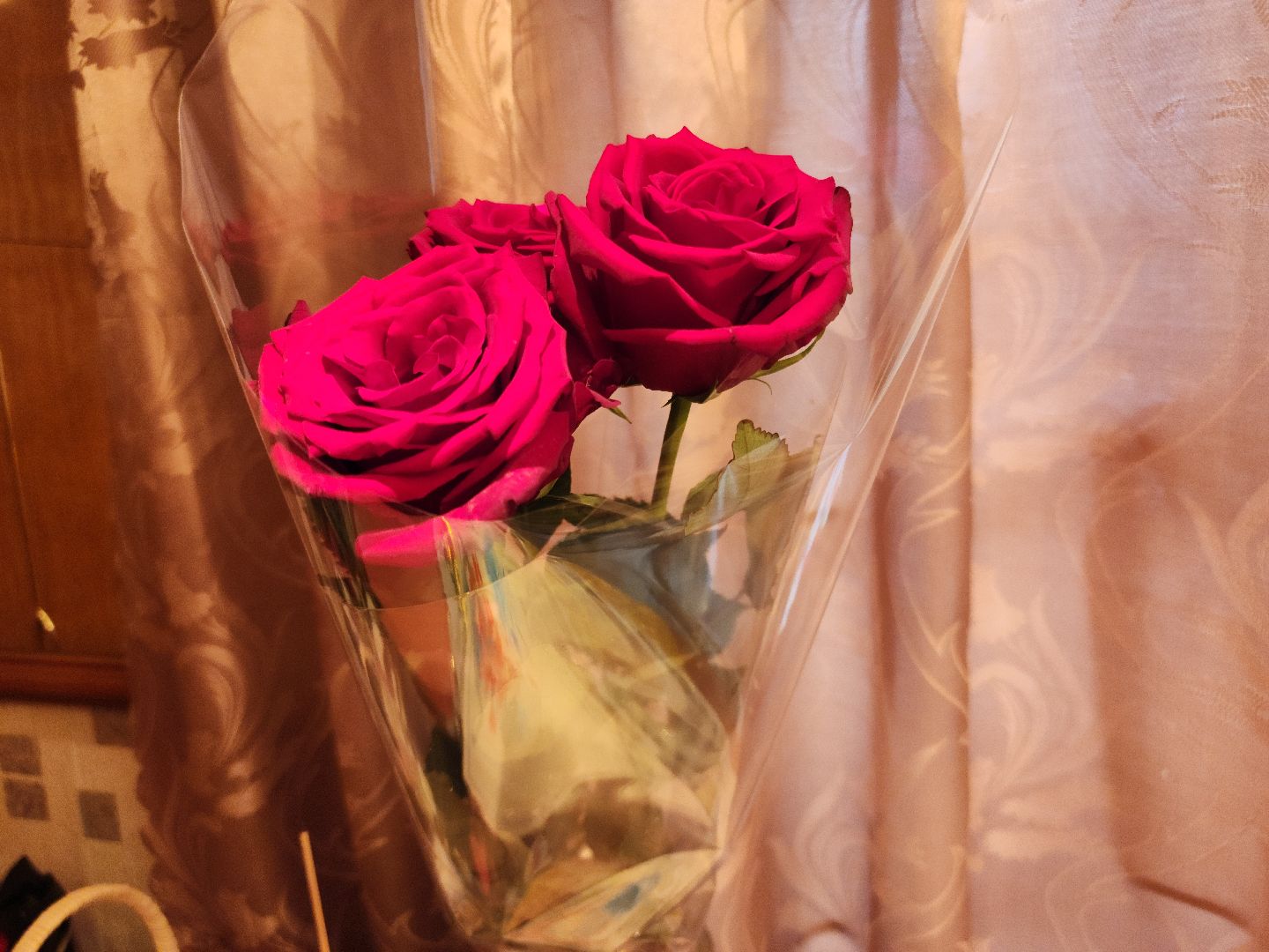 Звенигород, К аетерану в гости, волонтеры,Министерство социального развития Московской области, Министр социального развития Московской области Людмила Болатаева, Год семьи, Путин,