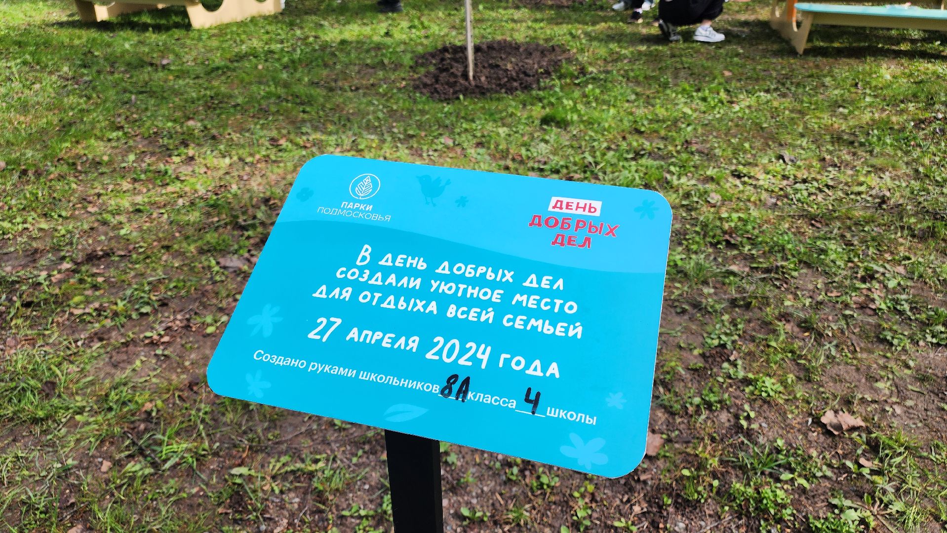 кашира, городской парк, день добрых дел, туи, красный клен, посадка деревьев, благоустройство,