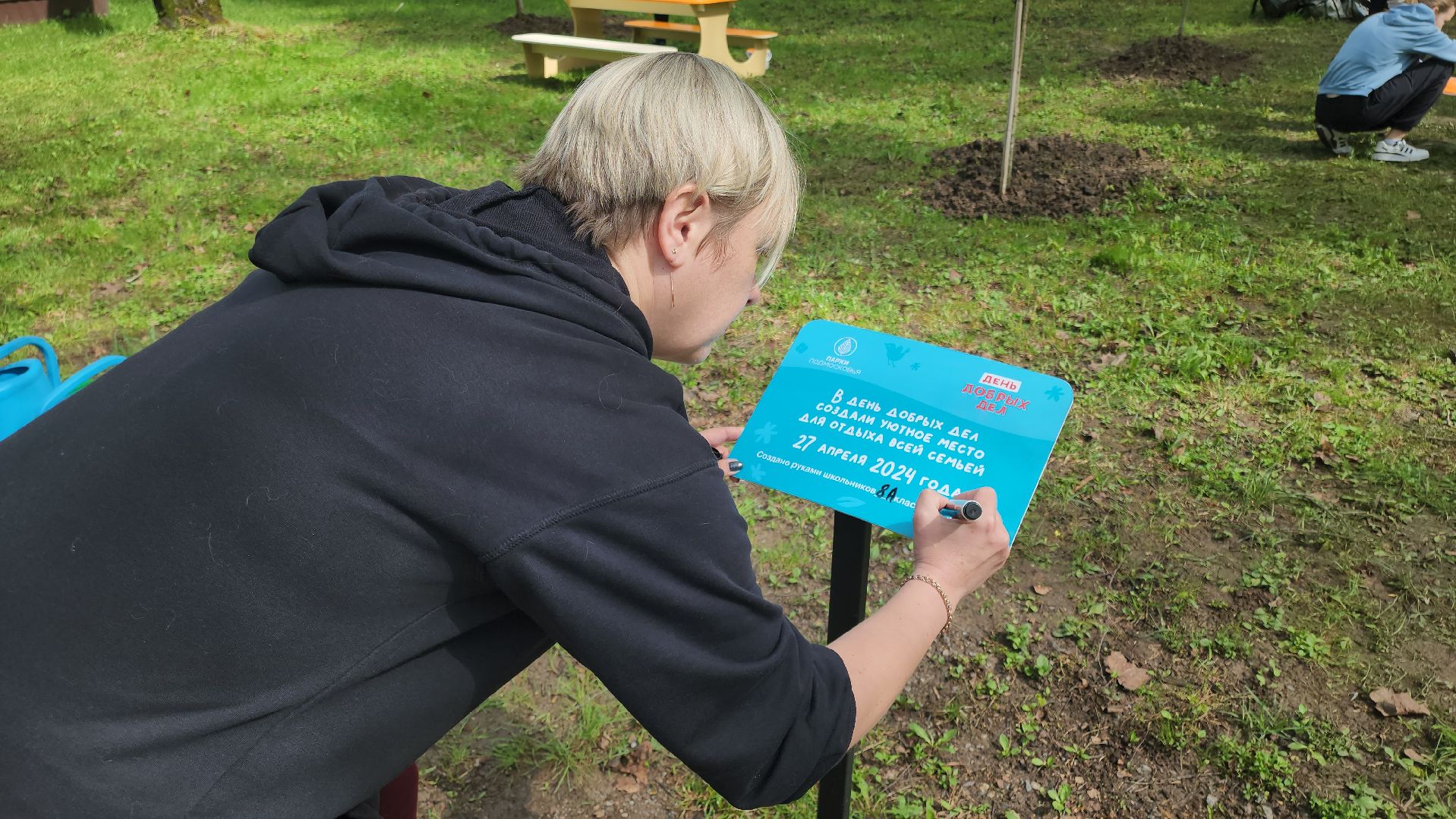 кашира, городской парк, день добрых дел, туи, красный клен, посадка деревьев, благоустройство,