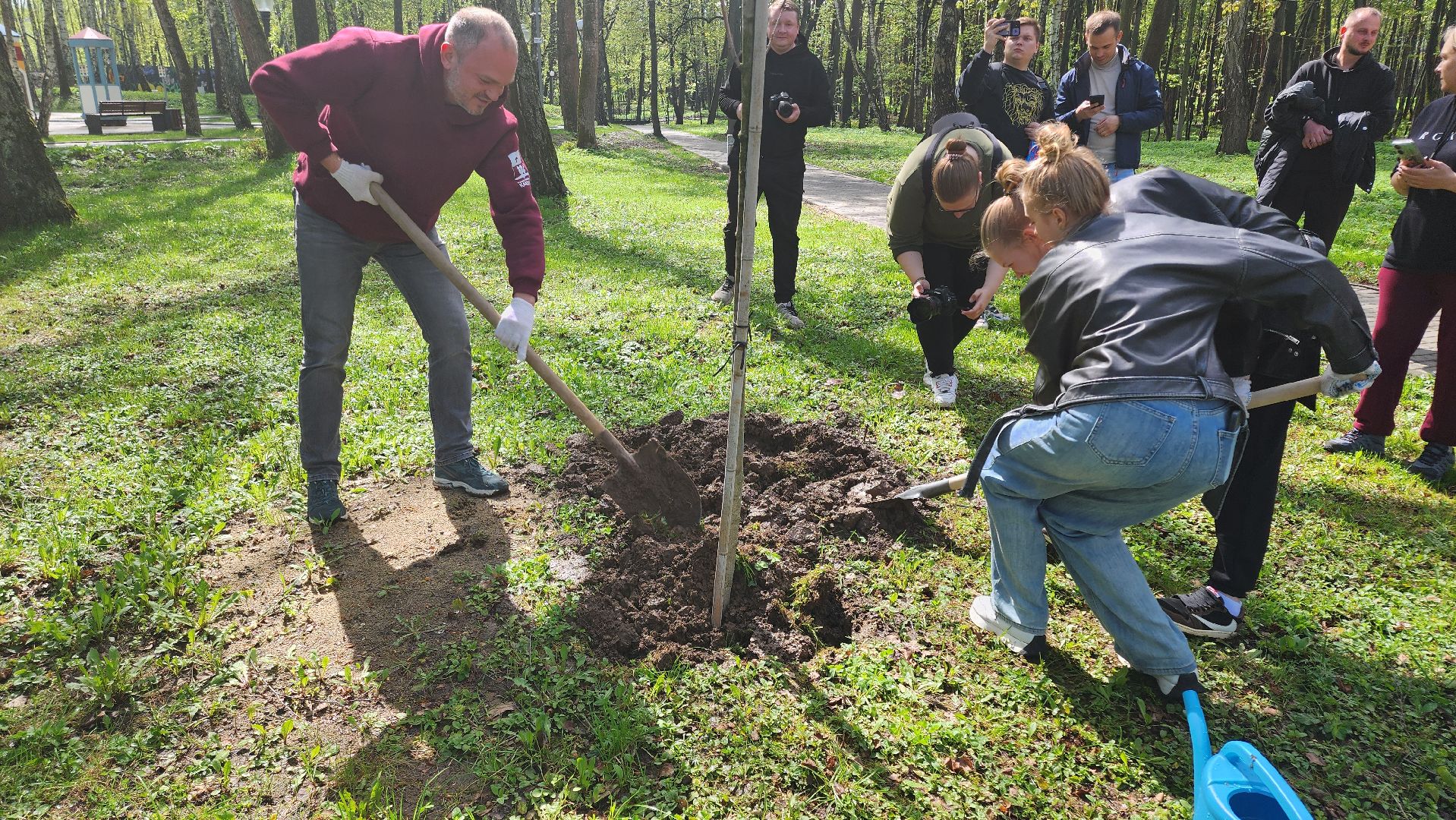 кашира, городской парк, день добрых дел, туи, красный клен, посадка деревьев, благоустройство,