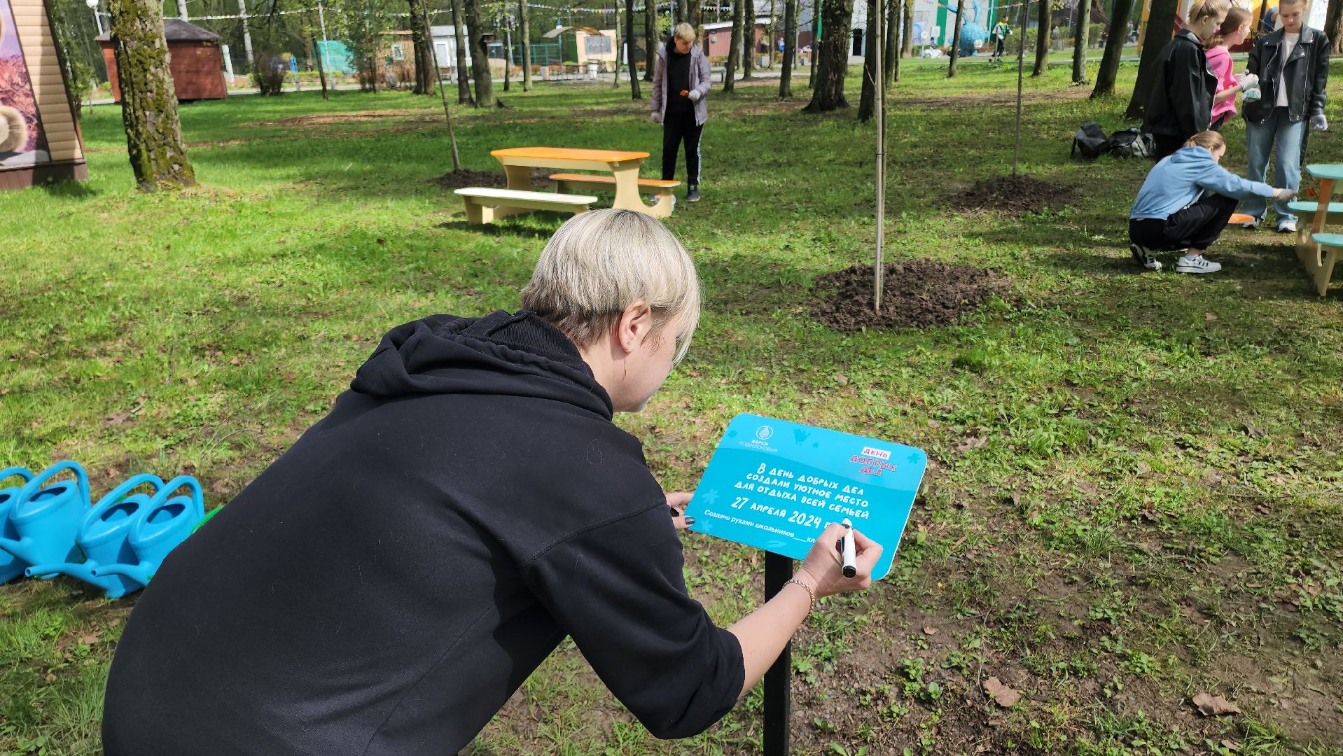кашира, городской парк, день добрых дел, туи, красный клен, посадка деревьев, благоустройство,