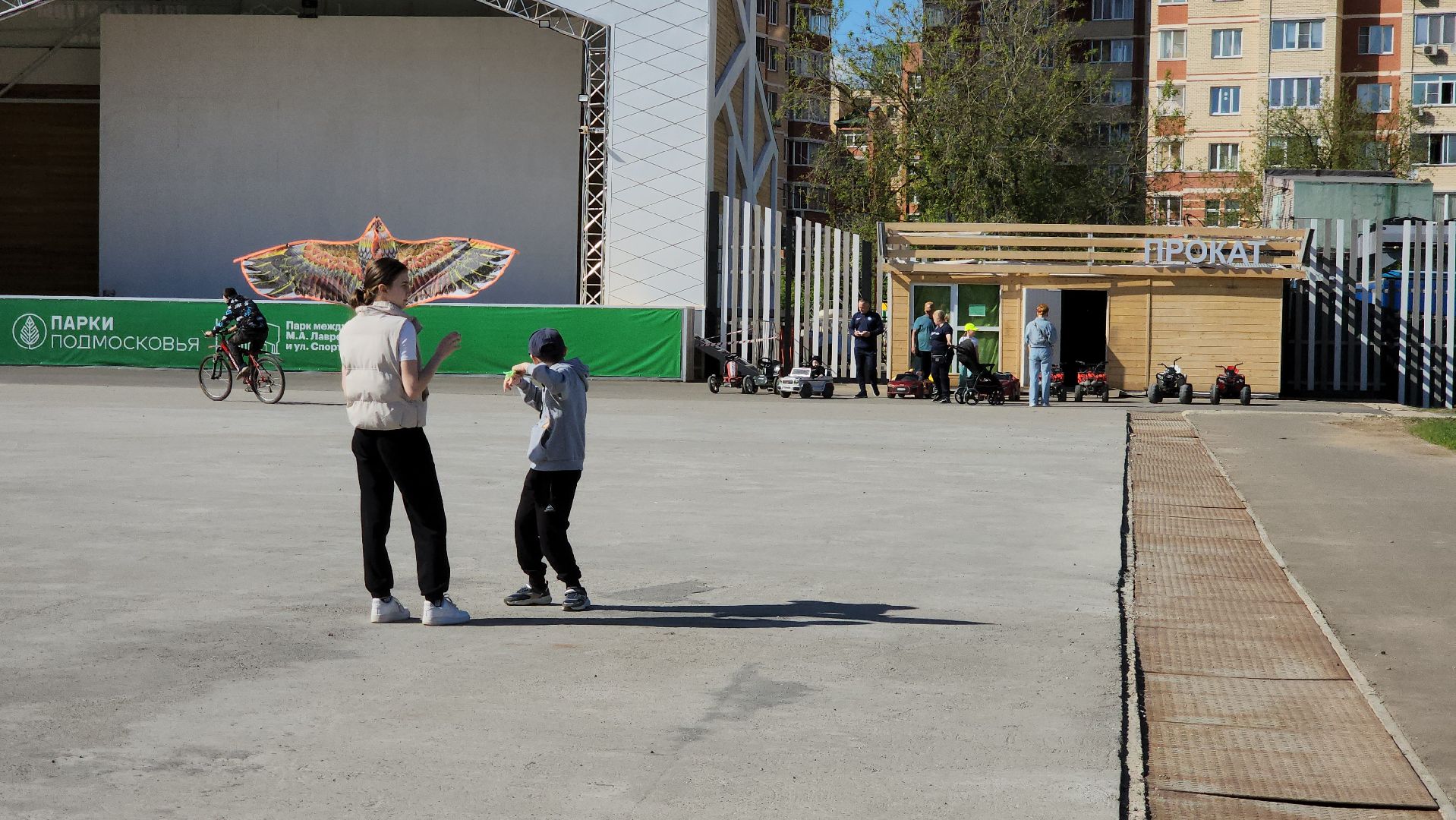 воздушные змеи, долгопрудный, парк