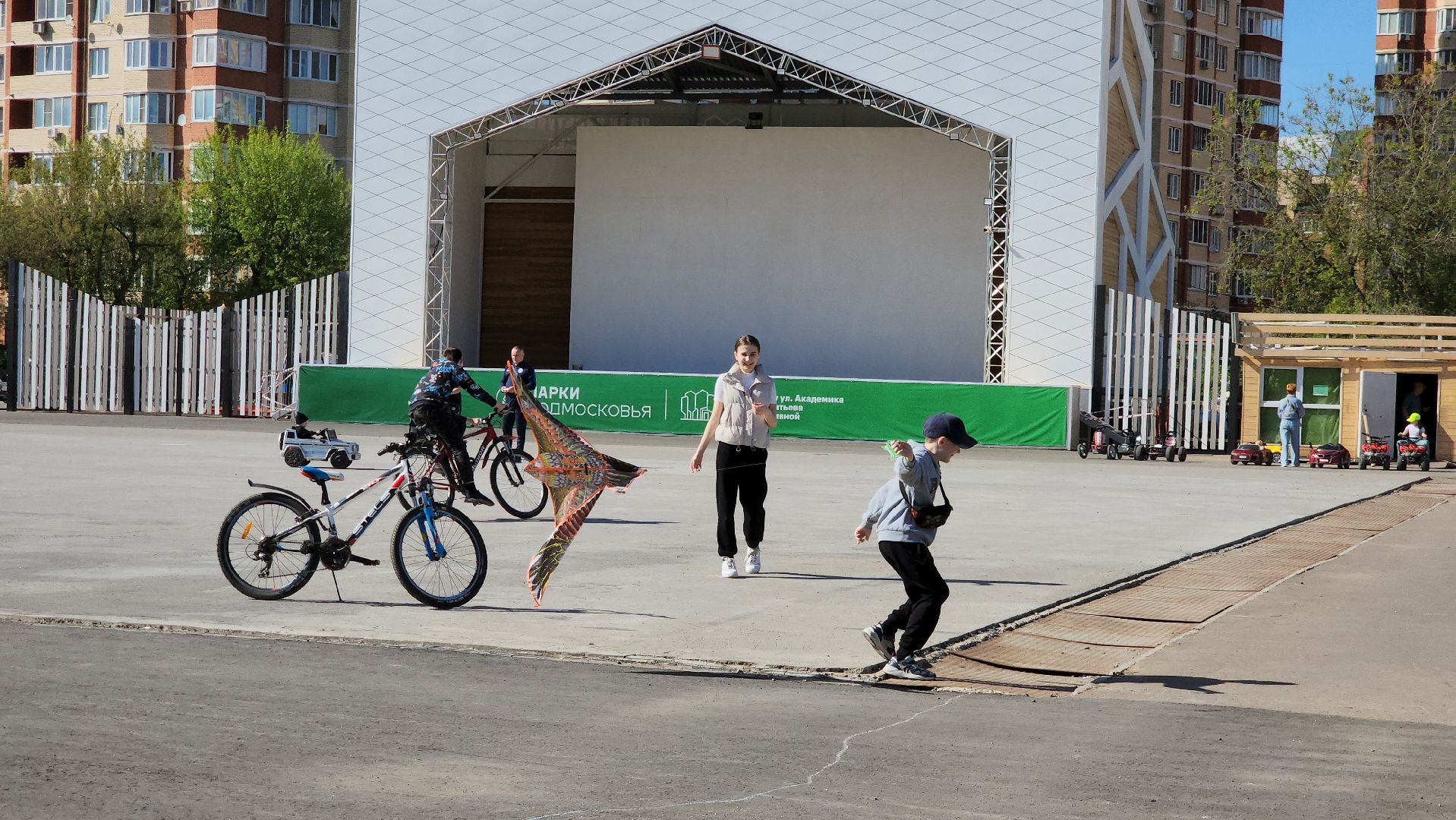 воздушные змеи, долгопрудный, парк