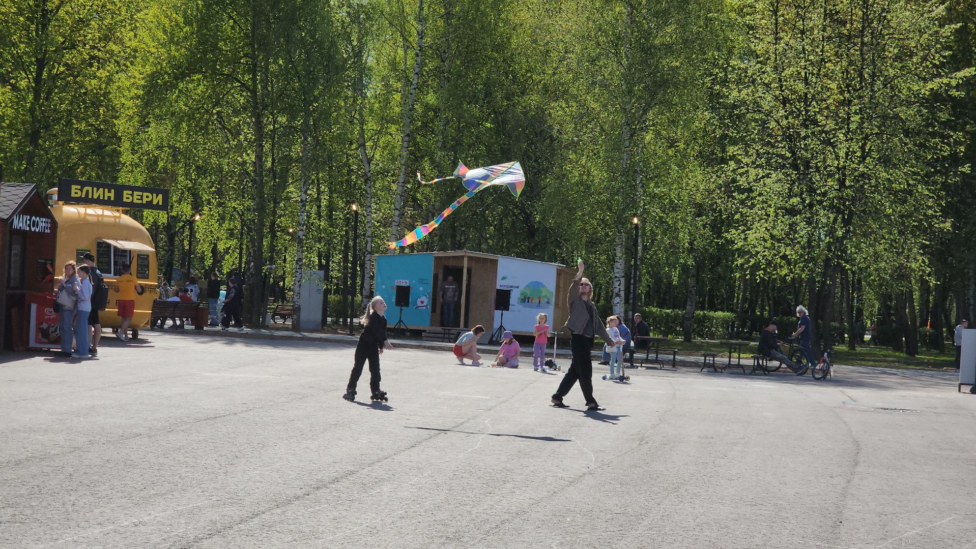 воздушные змеи, долгопрудный, парк