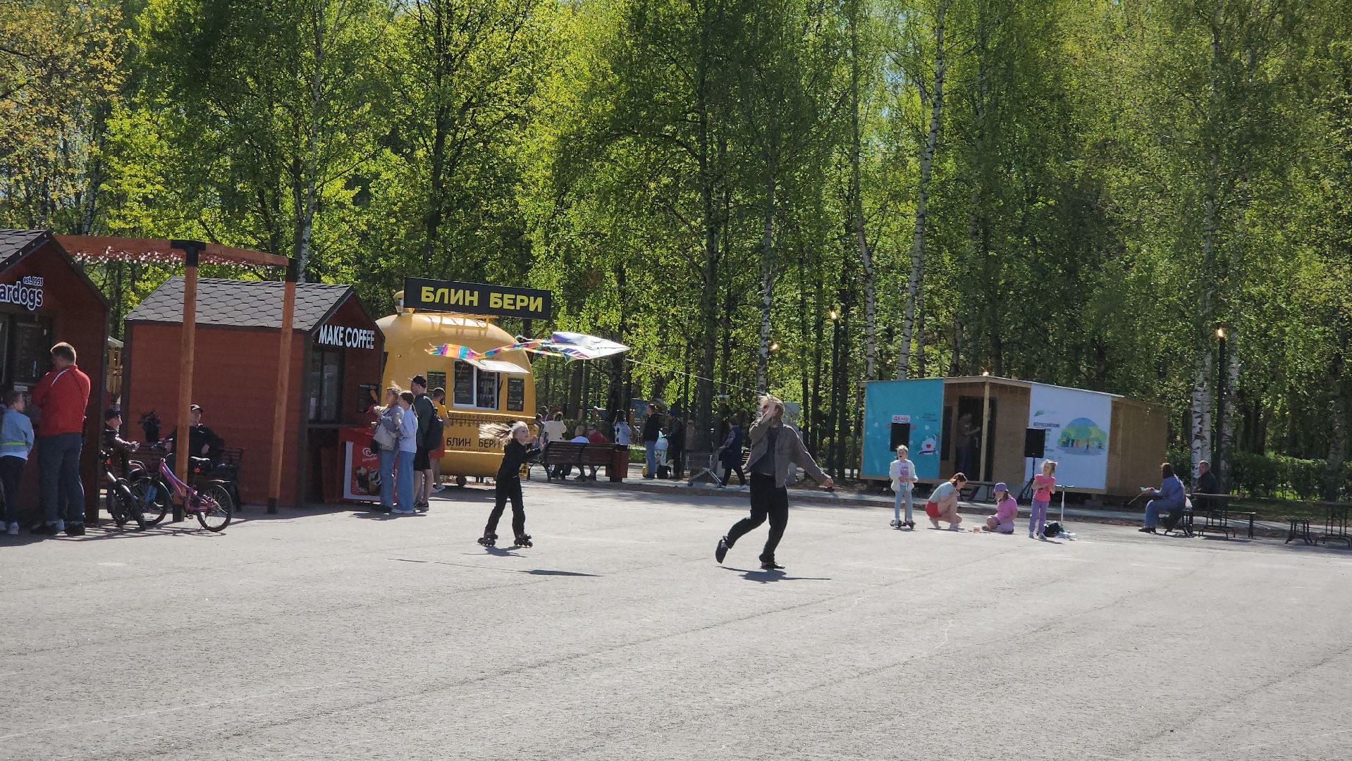 воздушные змеи, долгопрудный, парк