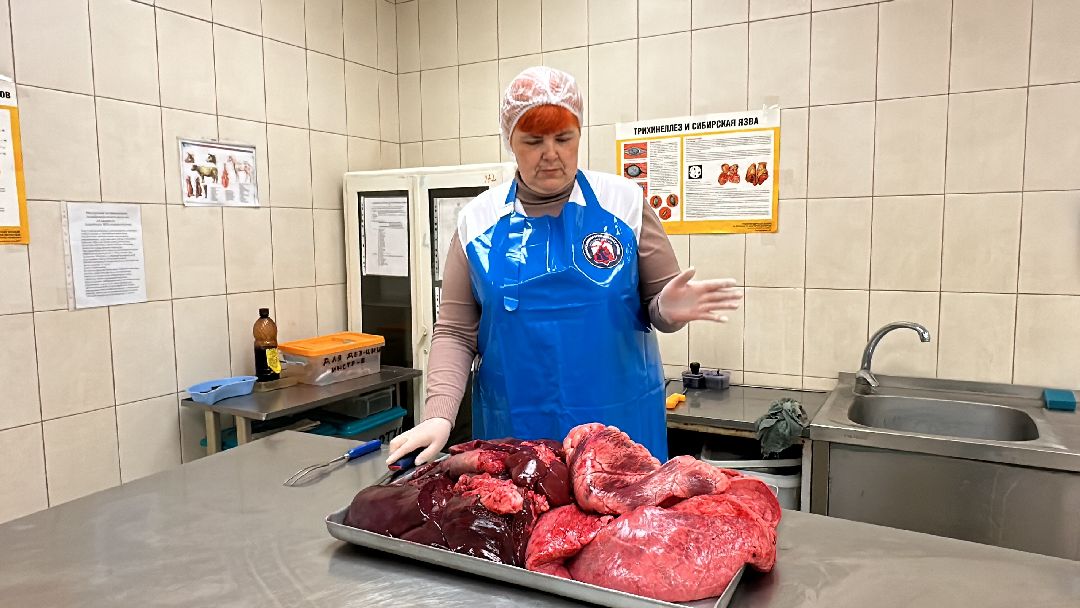 Одинцово, Мясо, Ветконтроль, Качество, Рынок, Потребитель