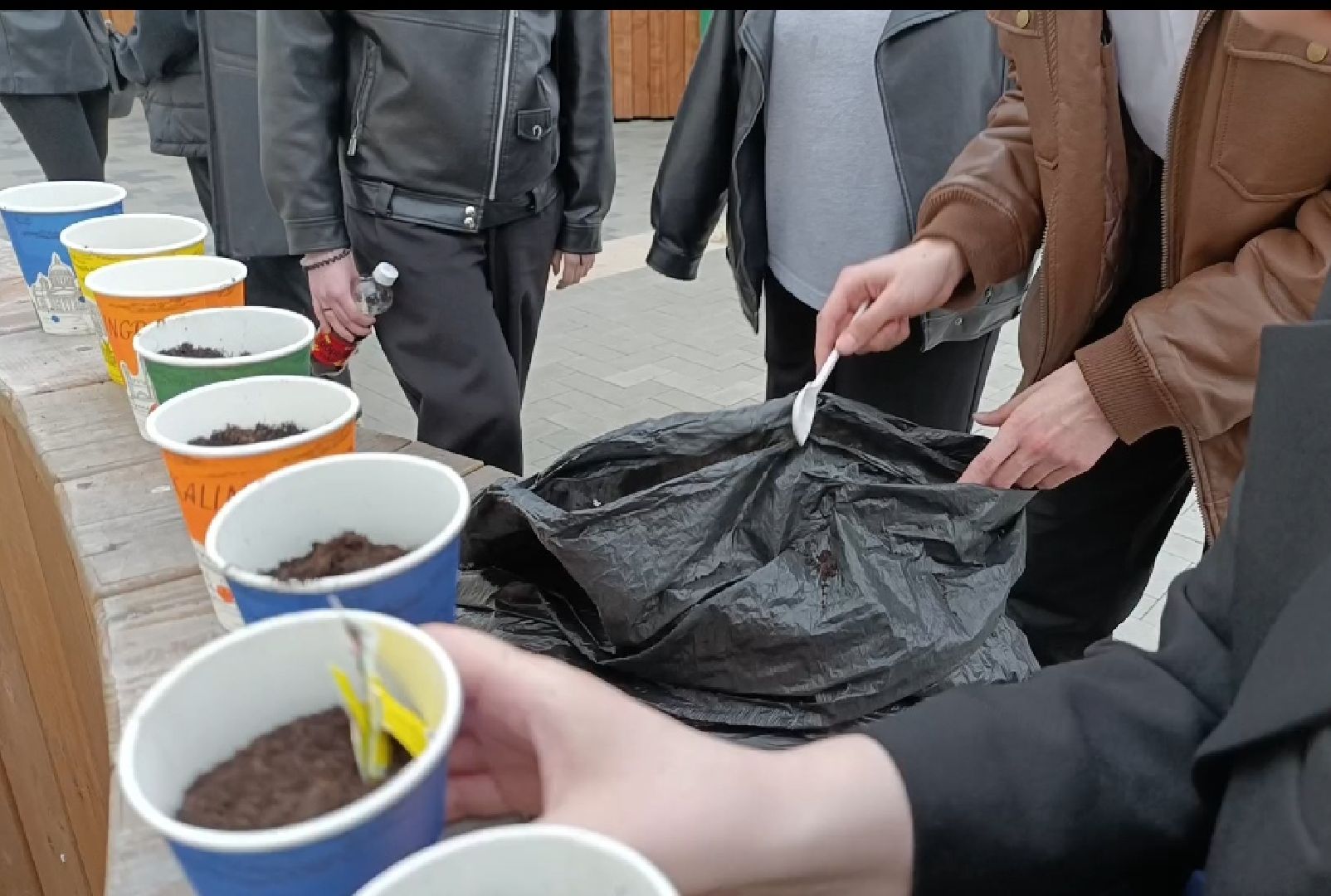 Бронницы, Добрые дела, Посадили семена, парк бронницкий луг,