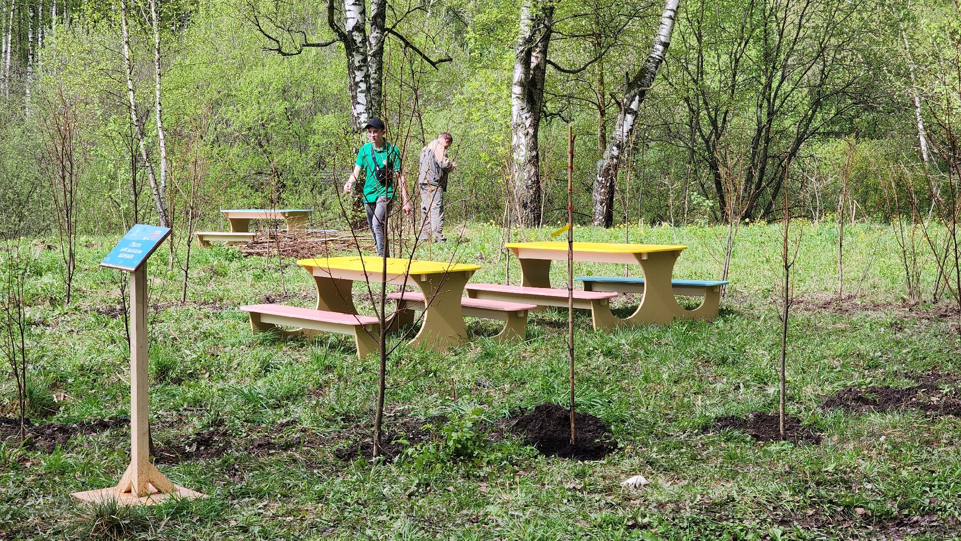 день добрых дел, деревья, акция,