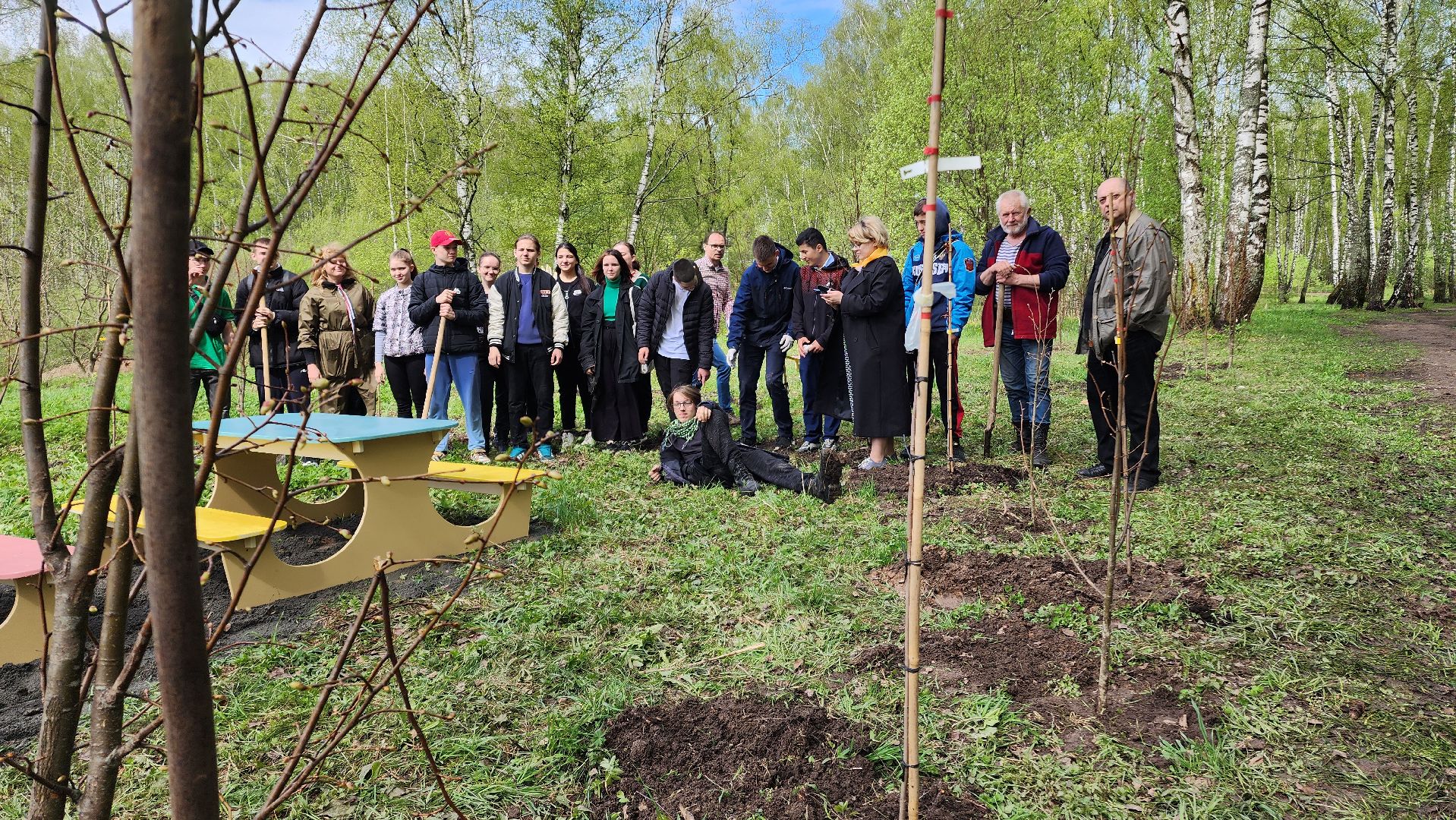 день добрых дел, деревья, акция,