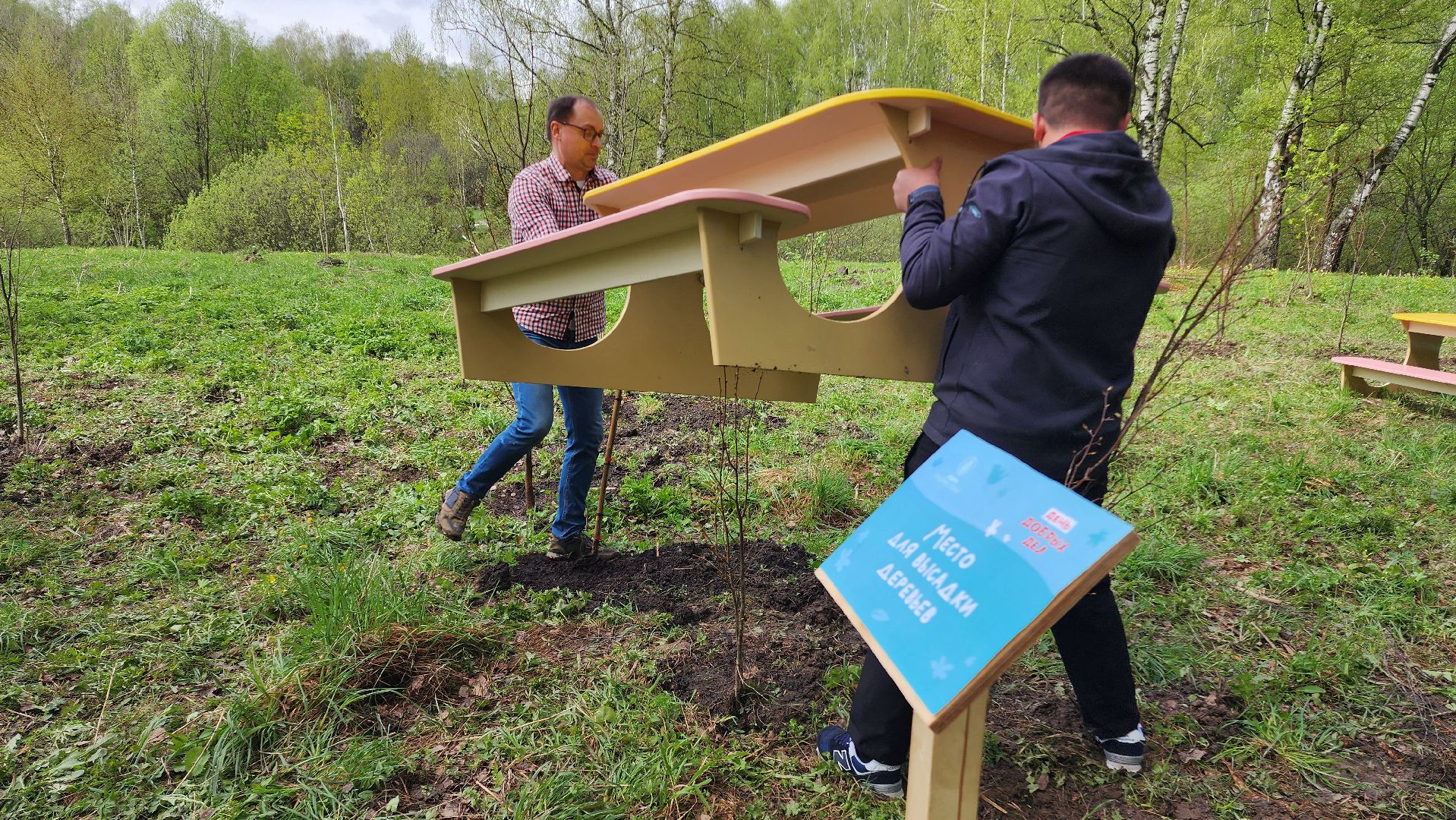 день добрых дел, деревья, акция,