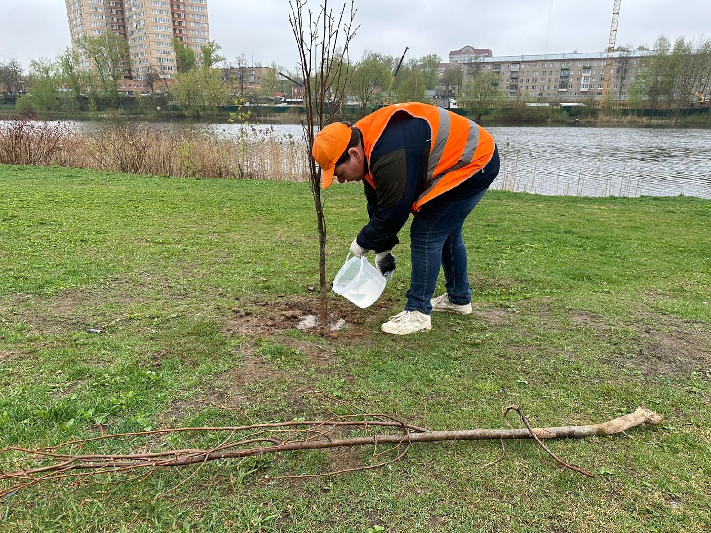 пушкино, благоустровйство, субботник,