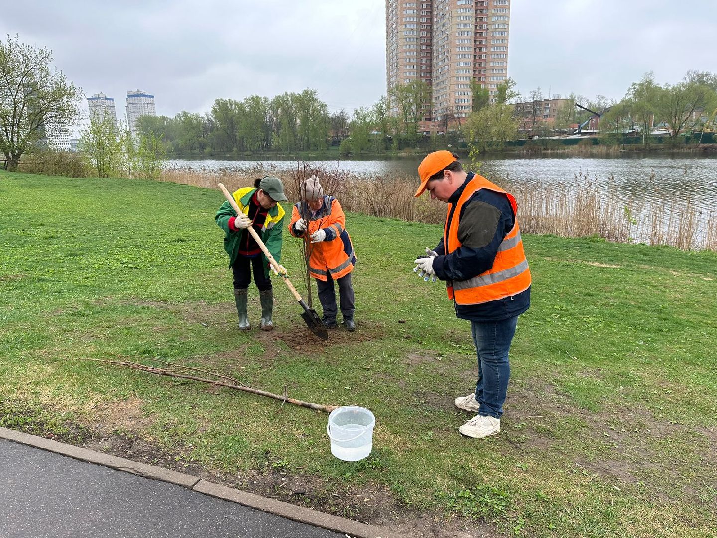 пушкино, благоустровйство, субботник,