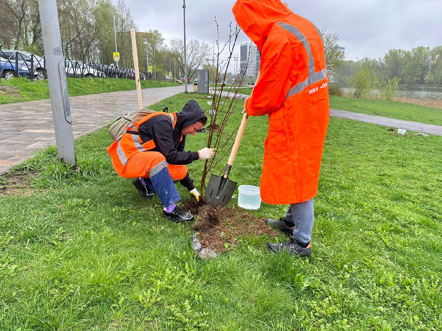 пушкино, благоустровйство, субботник,