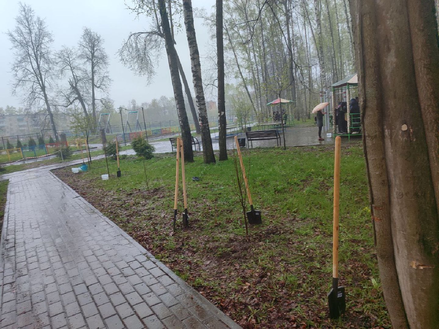 пушкино, субботник, благоустройство, парки,