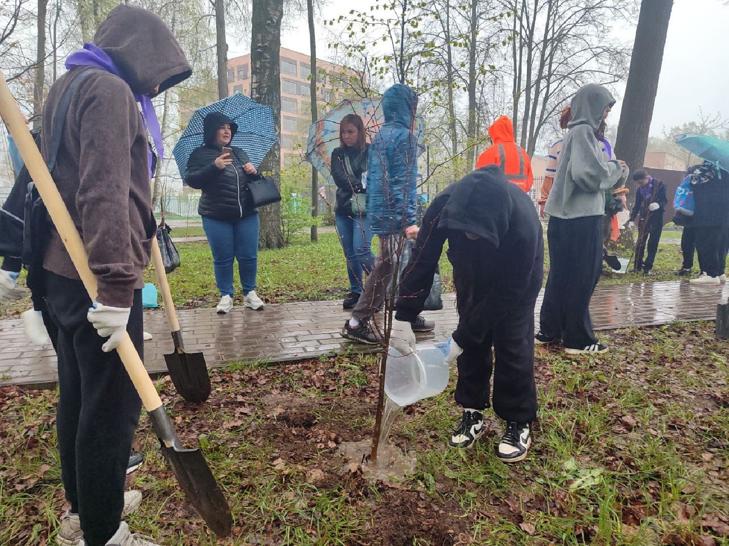 пушкино, субботник, благоустройство, парки,