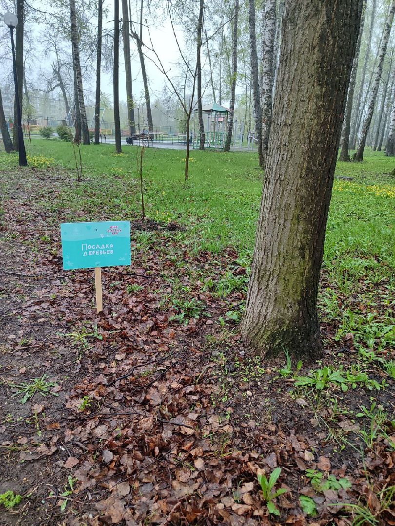 пушкино, субботник, благоустройство, парки,