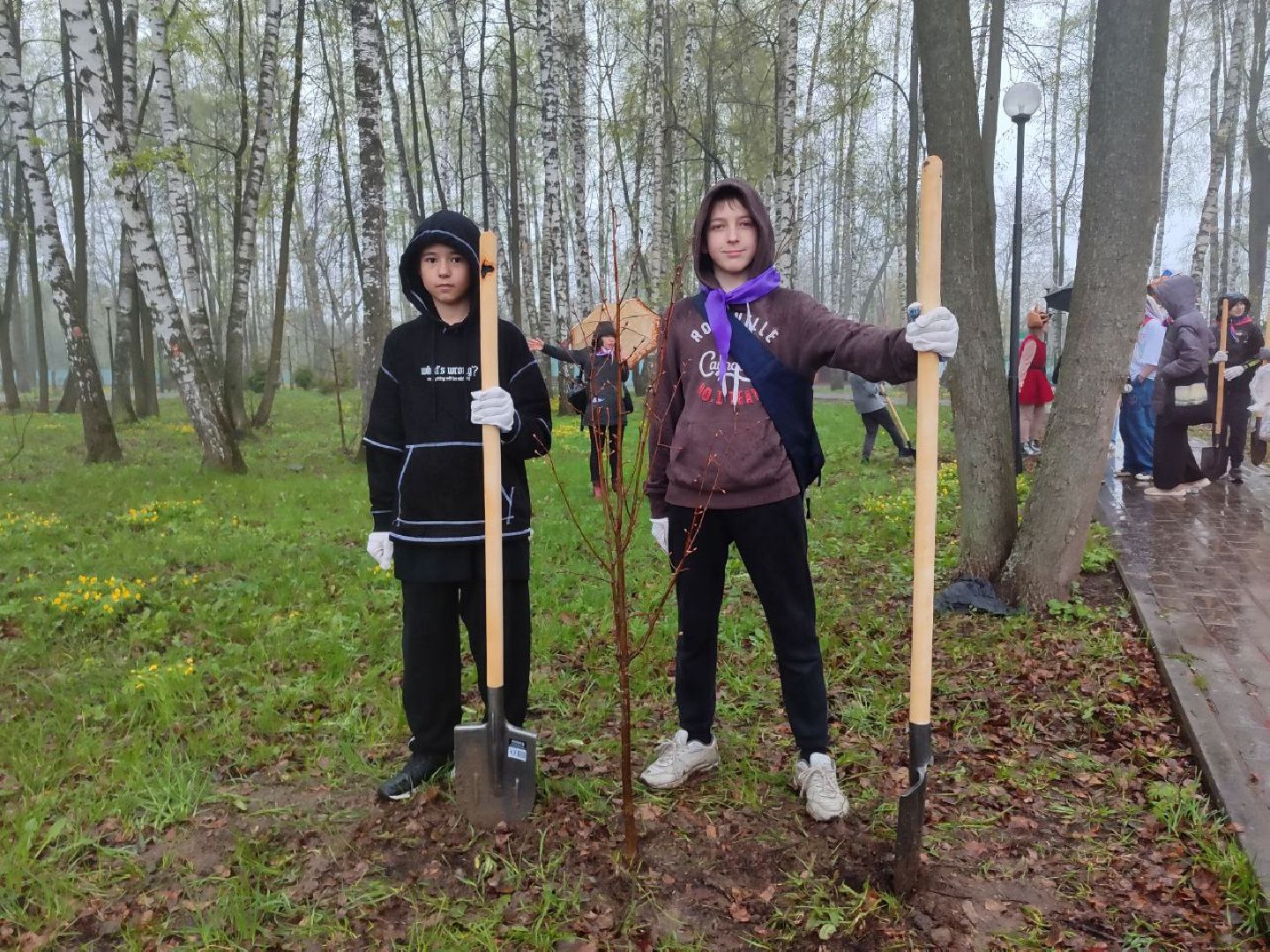 пушкино, субботник, благоустройство, парки,