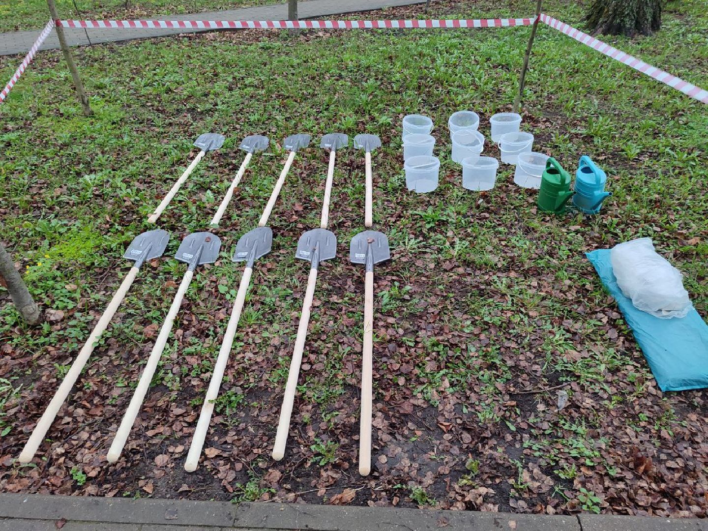 пушкино, субботник, благоустройство, парки,