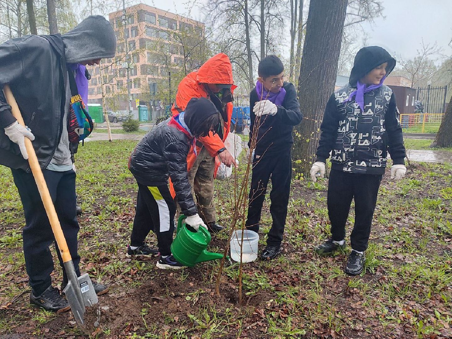 пушкино, субботник, благоустройство, парки,