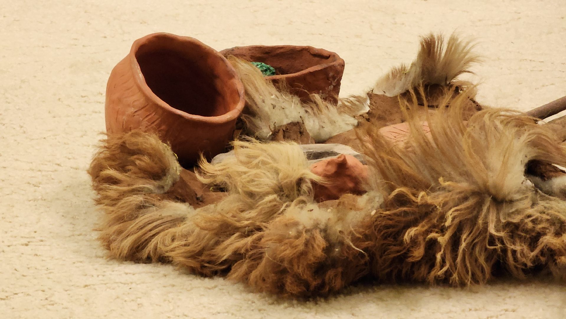 ступино, день добрых дел, образование подмосковья,