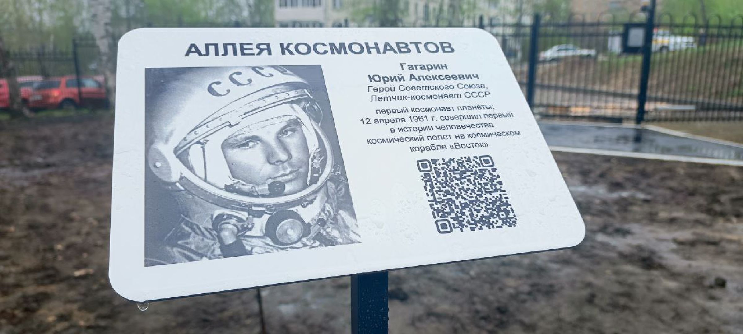 Дмитров, День добрых дел,