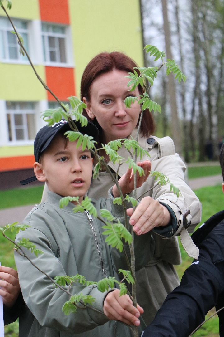 лотошино, лотошинская школа 1, день добрых дел, экологическая акция, экология,