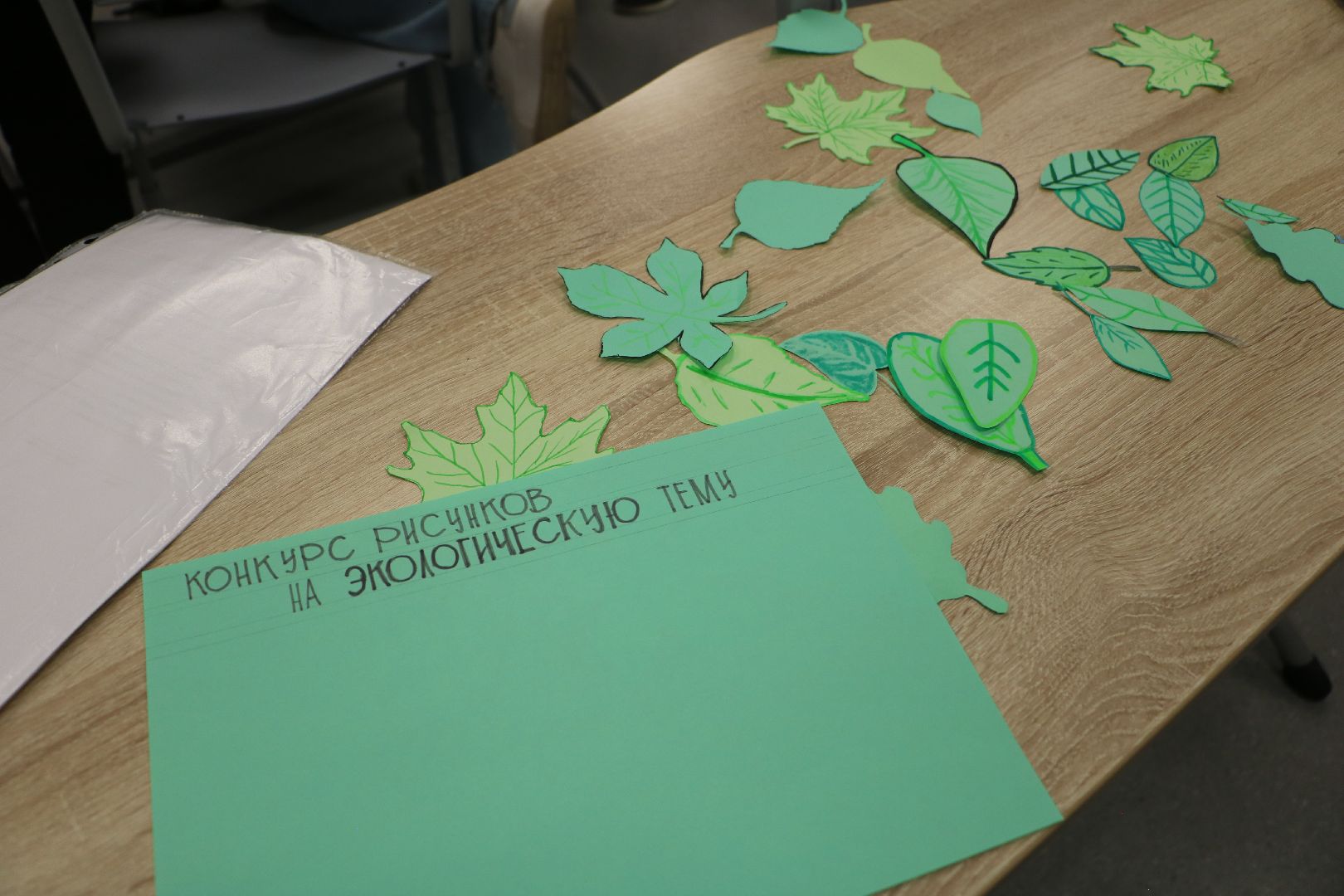 лотошино, лотошинская школа 1, день добрых дел, экологическая акция, экология,