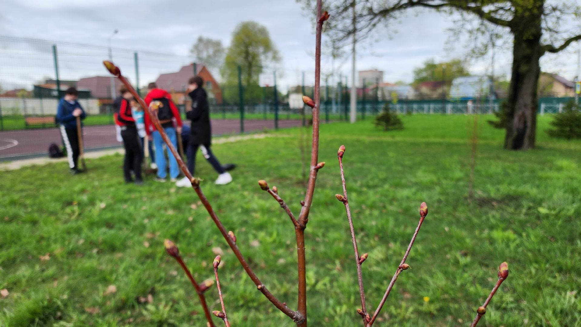 Подольск, гимназия им подольских курсантов, день добрых дел, память о погибших,
