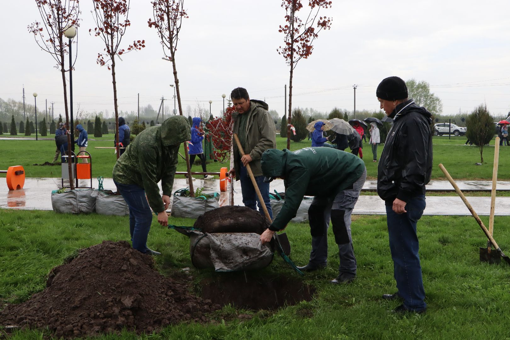 Серебряные Пруды, Парк Серебряный, скамейка Дружбы, красный клен, день добрых дел,