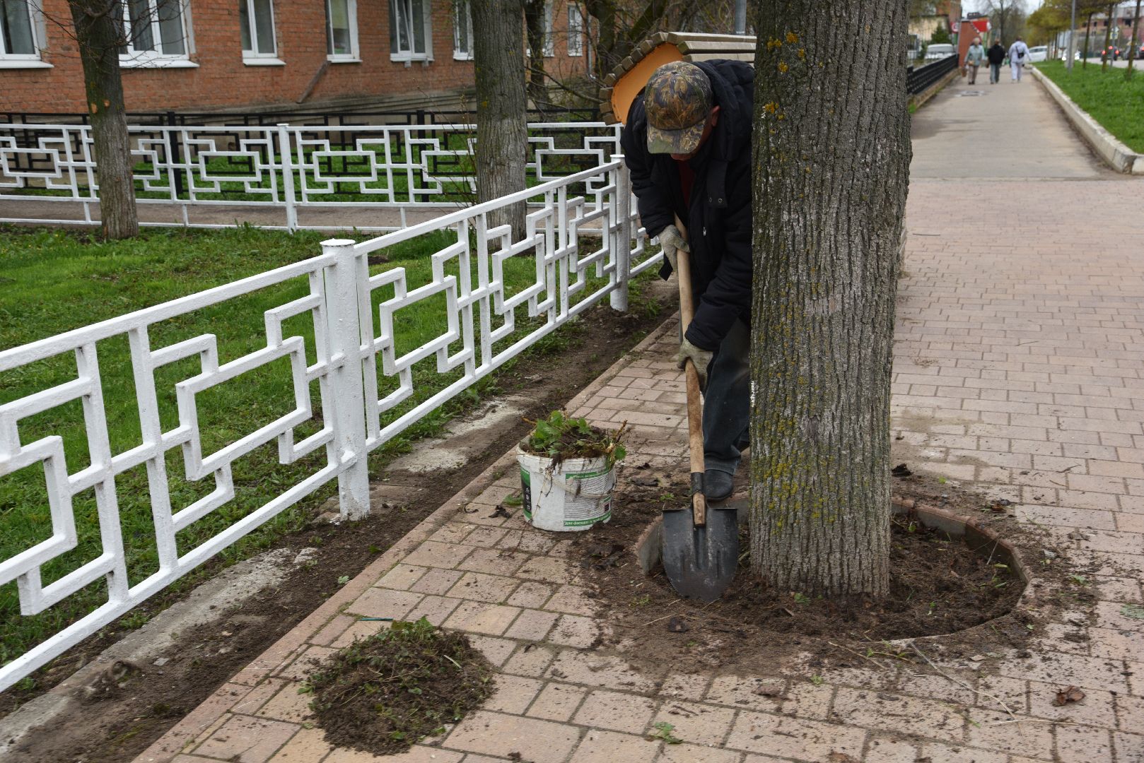 лотошино, лотошинская дши, субботник, благоустройство, уборка общественных территорий,